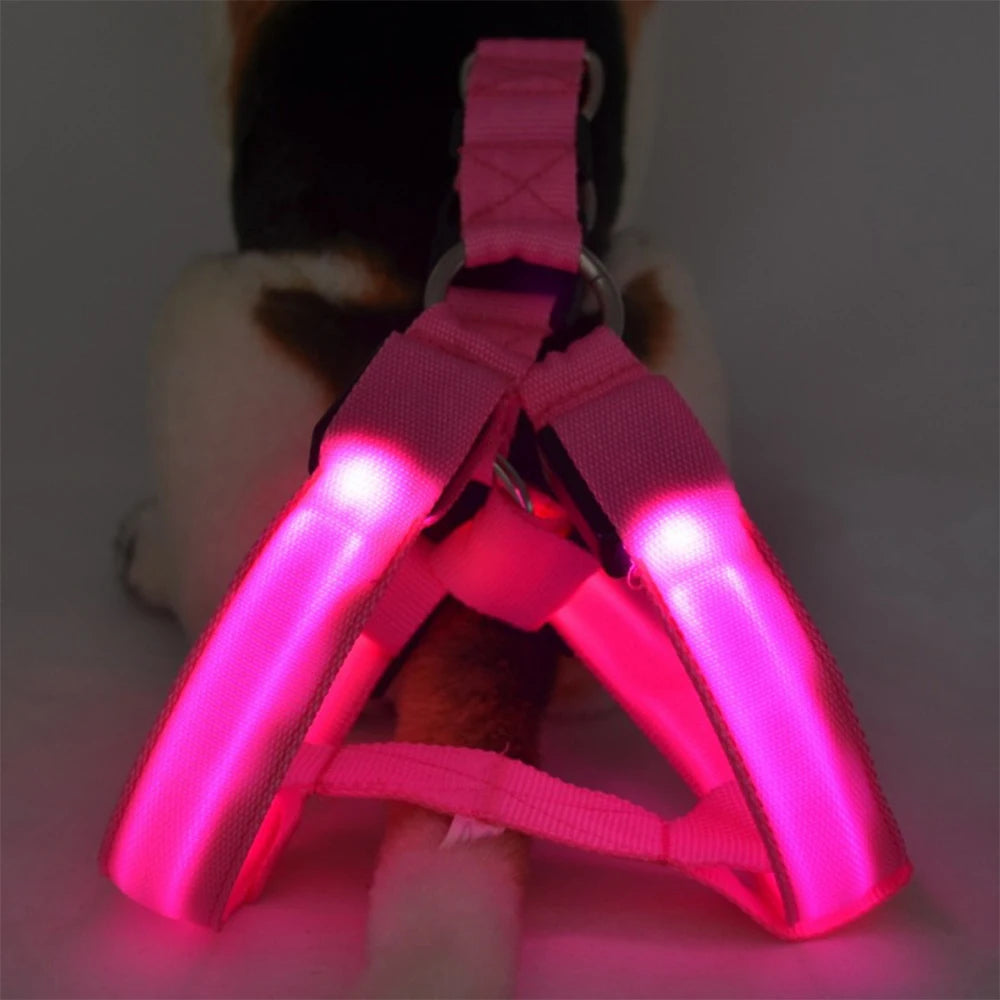 LED Dog Harness Adjustable Collar Leash Vest Nylon Strap Pet Cat Belt Outdoor Walking Safety Recharge Flashing Light Up Night
