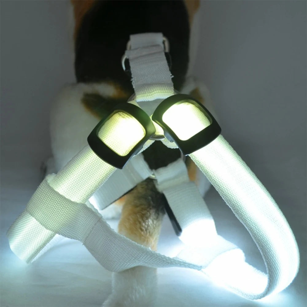 LED Dog Harness Adjustable Collar Leash Vest Nylon Strap Pet Cat Belt Outdoor Walking Safety Recharge Flashing Light Up Night