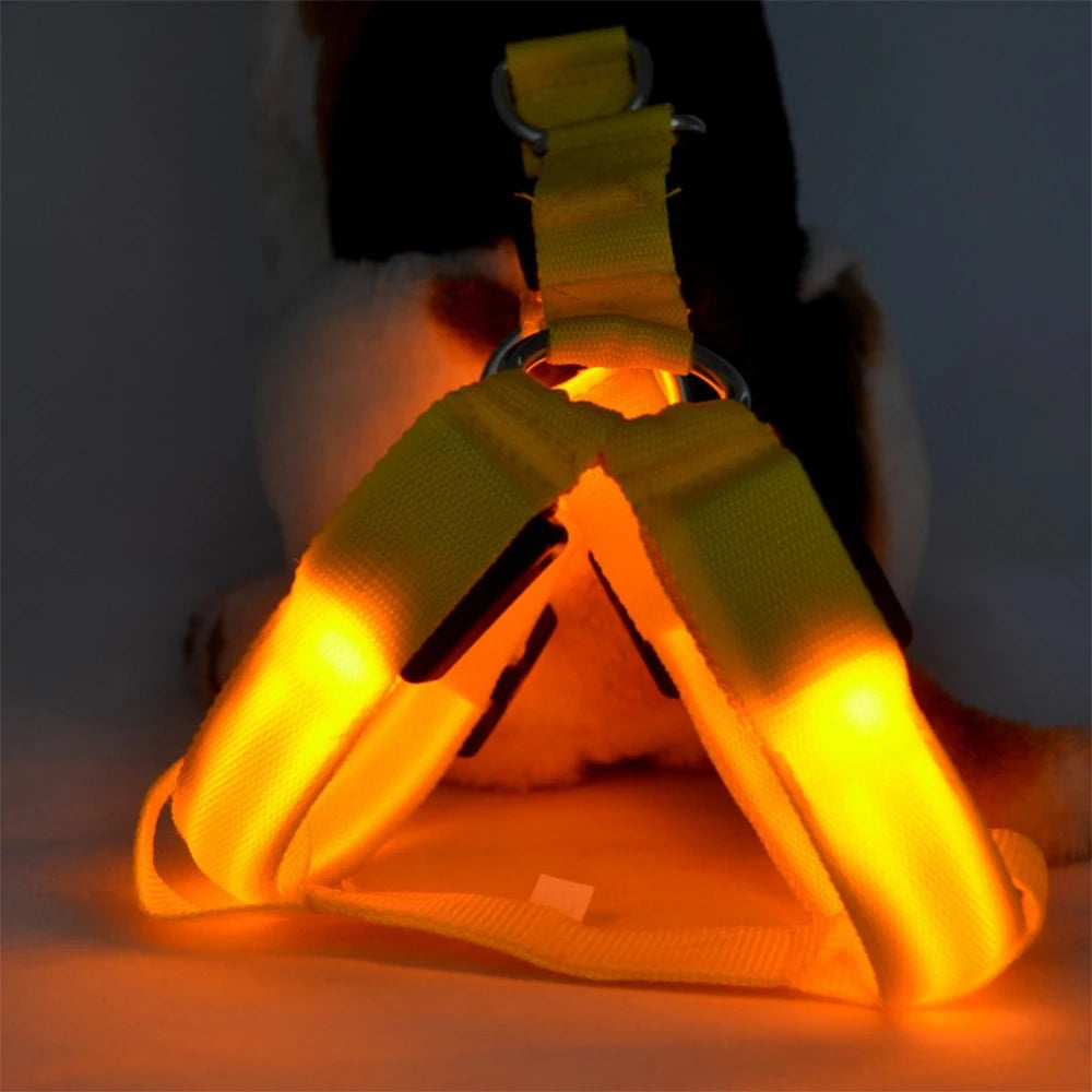 LED Dog Harness Adjustable Collar Leash Vest Nylon Strap Pet Cat Belt Outdoor Walking Safety Recharge Flashing Light Up Night