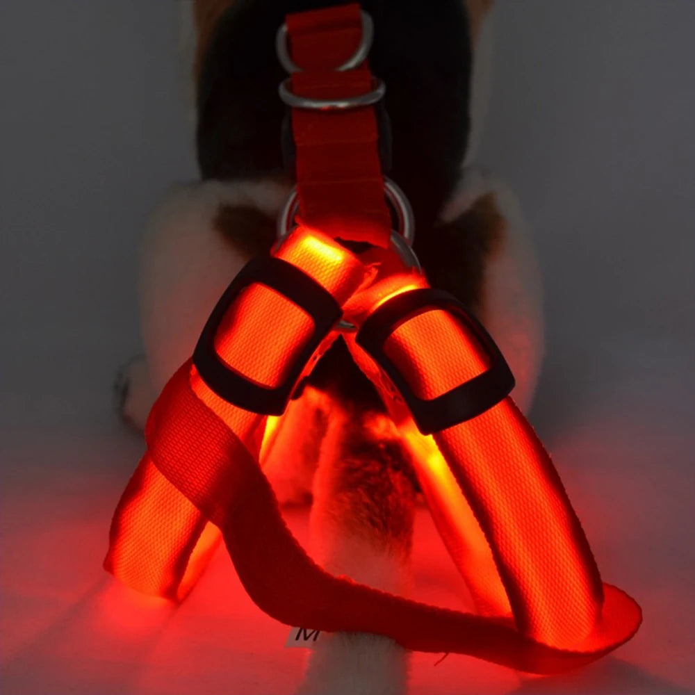 LED Dog Harness Adjustable Collar Leash Vest Nylon Strap Pet Cat Belt Outdoor Walking Safety Recharge Flashing Light Up Night
