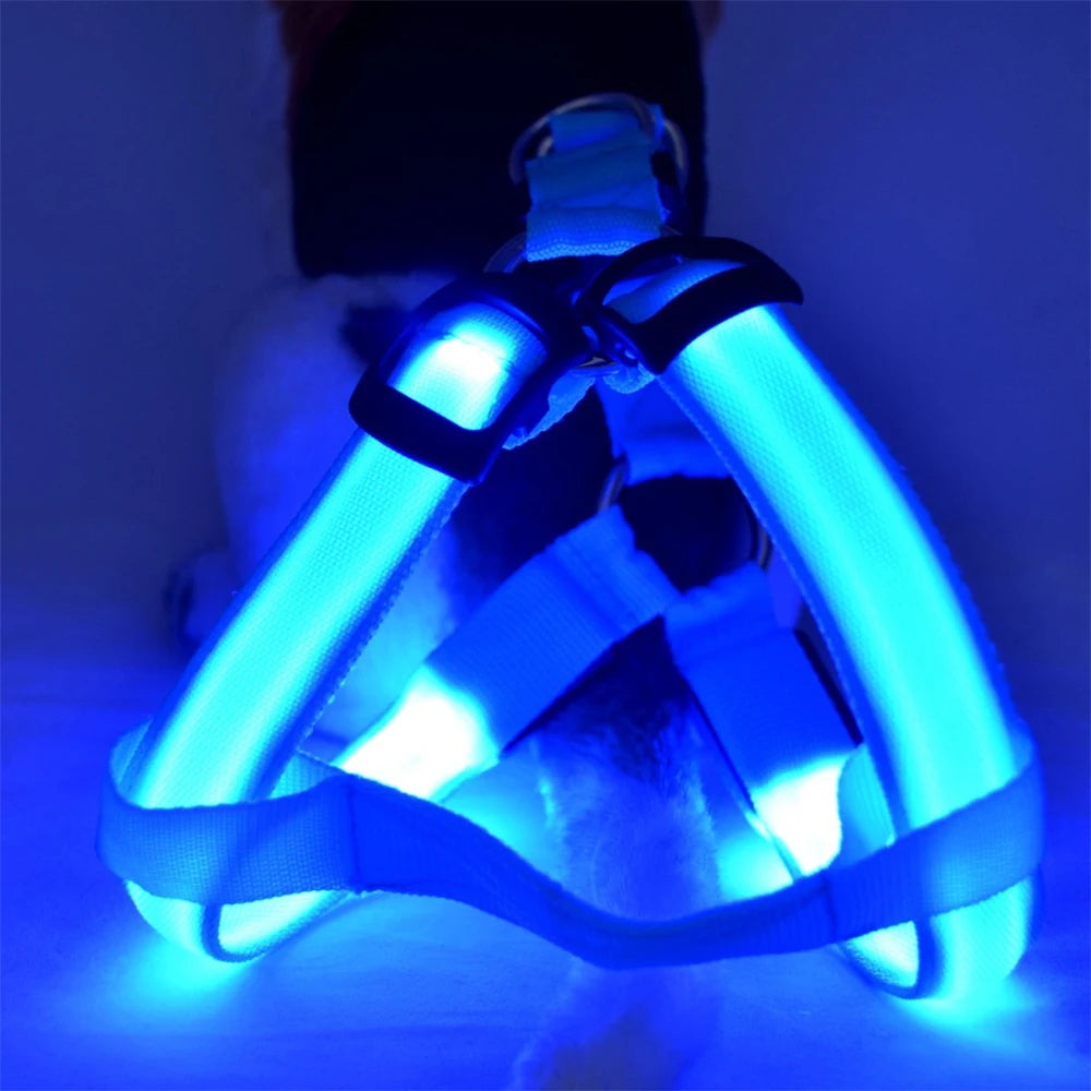 LED Dog Harness Adjustable Collar Leash Vest Nylon Strap Pet Cat Belt Outdoor Walking Safety Recharge Flashing Light Up Night