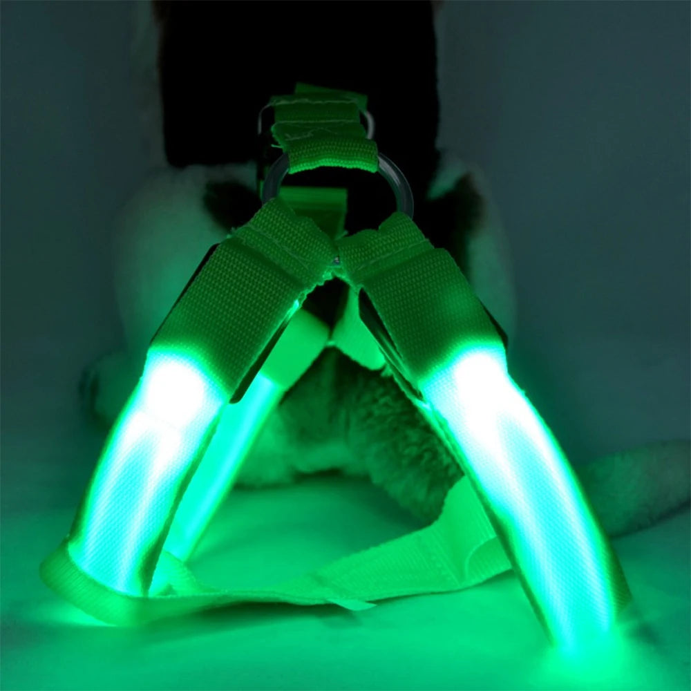 LED Dog Harness Adjustable Collar Leash Vest Nylon Strap Pet Cat Belt Outdoor Walking Safety Recharge Flashing Light Up Night